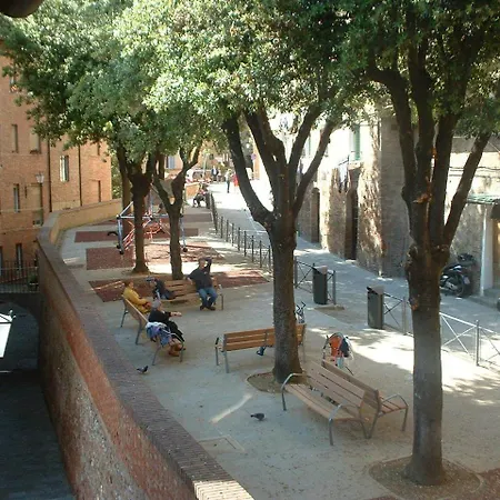 Il Campo