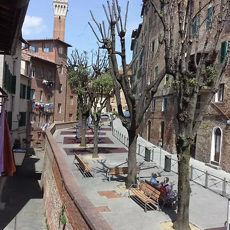 Daire Il Campo