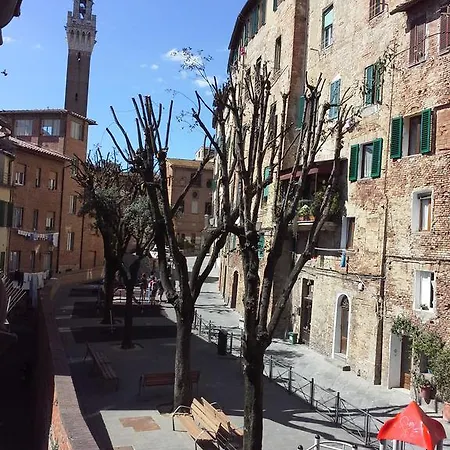Il Campo