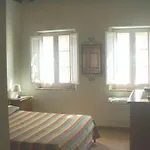 Il Campo